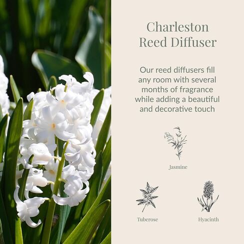 Archipelago Botanicals Charleston Reed Diffuser, Home Fragrance Reed Diffuser, Includes Fragrance Oil, Frosted Glass Vessel & 10 Diffuser Reeds, Perfect for Home, Office or Gift, 7.6 Fl Oz in Kuwait