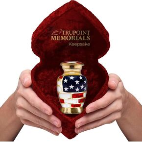 Trupoint Memorials Small Urns for Human Ashes Keepsake, Decorative Mini Cremation Urn for Adult Men and Women, Small Blue Dove with Velvet Heart Box