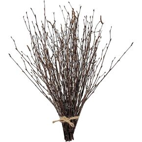 17 Inch Natural Birch Branches Dried Birch Twigs Wreath Making Supplies Dried Plants for Rustic Home Decor Easter Stems Vase Filler DIY Crafts Vases Tall Wreath Christmas Decoration Wedding (30Pcs)