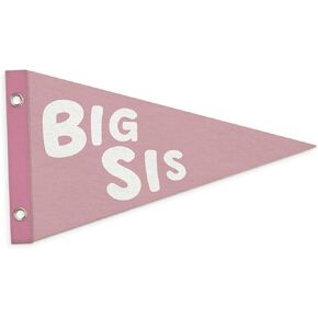Big Sister Felt Banner,Baby Girl Nursery Decor Wall Hanging Pennant Banners Flags for Girl Nursery Decor,Little Girl Room,Bedroom,Playroom,Kids Room Decor 7.4x14 Inch