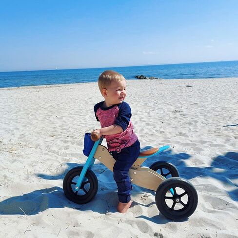 لعبة 11609 Trike Maxi 2 في 1 Türkis aus Holz، DREI Laufrad, verstellbarer Sitz und gummierte Reifen Toys, تركواز in Kuwait