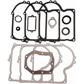 Complete Engine Rebuild Gasket Set Kit Seals Compatible with 393411 11 & 12 HP Vertical 220700 252700 253700 254700 255700 256700 257700 258700 259700 New Z444