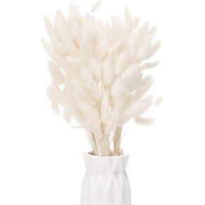 60PCS White Dried Pampas Grass Decor, 17-inch Pompas Floral, Dry Flowers for Decoration, Pampas Grass in Bulk Tall, White Bunny Tails Dried Flowers for Boho Wedding