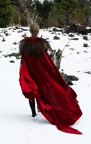 UQJE USISEX Deluxe Velvet Come Cape مع بدلة Cape Cape Cape Halloween الطبيعية الحقيقية in Kuwait