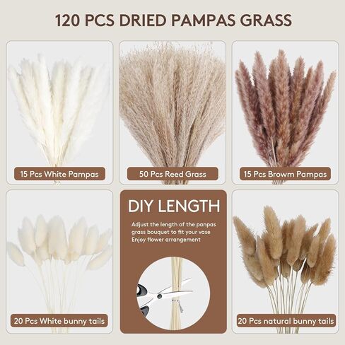 120PCS Dried Pampas Grass Decor – Bunny Tail Grass, White & Brown Reed Plumes, Tall Fluffy Boho Vase Filler for Rustic Wedding, Japandi Home, Shelf & Centerpiece Styling in Kuwait