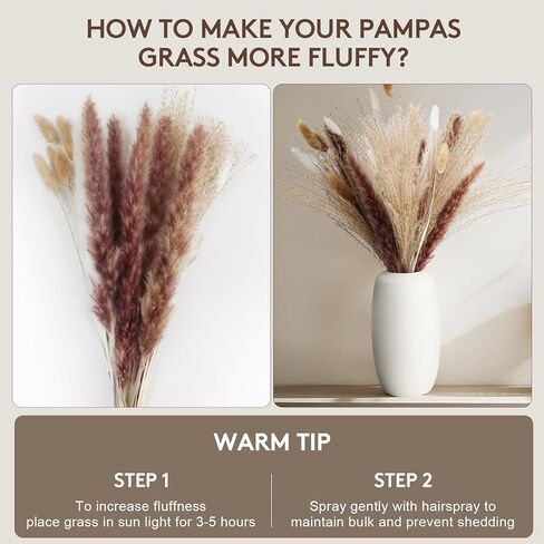 120PCS Dried Pampas Grass Decor – Bunny Tail Grass, White & Brown Reed Plumes, Tall Fluffy Boho Vase Filler for Rustic Wedding, Japandi Home, Shelf & Centerpiece Styling in Kuwait