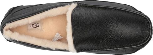 حذاء ASCOT للرجال من UGG ، أسمر ، 18 M US in Saudi Arabia