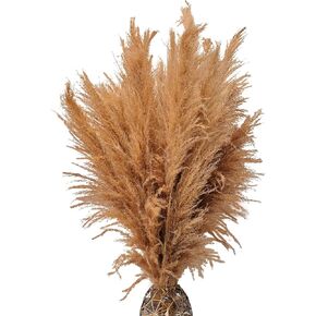 20 PCS 40 inches Bohemian Style Handpicked Pampas Grass Dried Flowers, Big Pampas Grass, Fluffy Grass, Dried Flowers for Wedding, Party