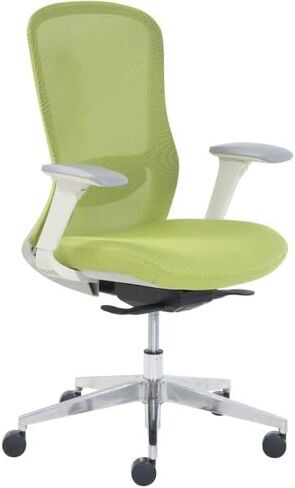 StyleWorks Tokyo Mid Back Mesh Chair in Saudi Arabia