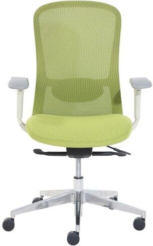 StyleWorks Tokyo Mid Back Mesh Chair in Saudi Arabia