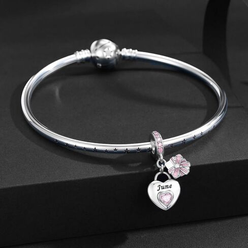 Heart Birthstone Charms 925 Sterling Silver Charms for Europe and America Bracelets and Necklaces Birthday Christmas Women's Jewelry Gifts in Saudi Arabia