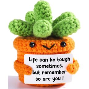 Mini Funny Handmade Crochet Positive Succulents Potted - Encouraging Gifts for Coworker Friend Teacher Sister Mom Plant Lover - Mothers Day Christmas Birthday Gifts for Women Men