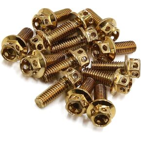 14pcs النغمة الذهبية M6 × 15 دراجة نارية من الفولاذ المقاوم للصدأ من التيتانيوم مطلي مسامير مسامير مسامير مستقرة
