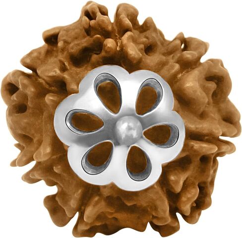 Arihant Gems & Jewels Nepali & Indian Rudraksha Pendant in 925 Sterling Silver – Natural, Certified, Spiritual Beads for Men & Women in Kuwait