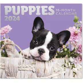 Puppies Full Size Wall Calendar for Planning, Scheduling, and Organizing