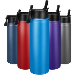 24 oz Insulated Water Bottle with Straw, Stainless Steel Double Wall Vacuum Thermos with Straw Lid Leak Proof, Wide Mouth Lid, Keep Cold and Hot…