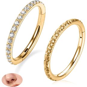 PEAKLINK 16G Nose Hoop Rings Conch Piercing Jewelry 1 Pair Cartilage Helix Earrings Septum Jewelry Hinged Segment Ring Lip Ring Surgical Steel Daith Rook Tragus Lobe Conch Hoop Earrings 8mm 10mm