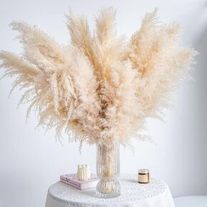 Pampas Grass Decor Tall 12PCS pompas Grass Decor Boho Decor Dried Pampas Grass Tall for Wedding, Party, Farmhouse, Boho Home Decor (12PCS)