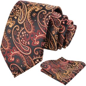 Alizeal Mens 3.15'' Paisley Tie Set with Hanky Casual Floral Necktie Set