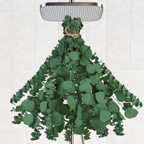 16 PCs Shower Eucalyptus شنقا ، الأوكالبتوس الطازجة الحقيقية للاستحمام 17 "جفاف الأوكالبتوس ينبع الفروع وأوراق الدولار الفضي حزمة للاستحمام ، ديكور الحمام in Kuwait