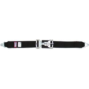 RJS Racing Equipment 15001901 Lap Belt