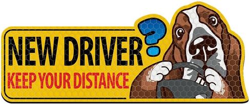 Wirester Reflective Student Driver Magnet ، ملصق صائق مصد مغناطيسي قابل لإعادة الاستخدام ، علامة تحذير جديدة على سائق السائق للسيارة - تحذير سائق جديد Tuxedo Cat in Kuwait