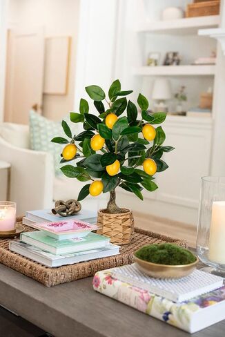 نباتات مصطنعة مصطنعة 17.3 بوصات صغيرة مزيفة شجرة الليمون الليمون الليمون الليمون الليمون الحمضيات مع وعاء منسوج فو ، زخارف الليمون الداخلي للمنزل ، المكتب ، طاولة غرفة المعيشة ، مكتب in Kuwait