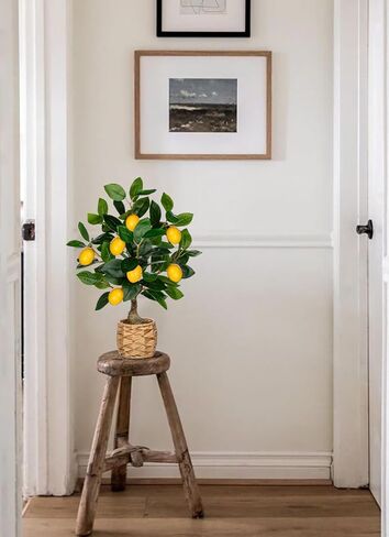 نباتات مصطنعة مصطنعة 17.3 بوصات صغيرة مزيفة شجرة الليمون الليمون الليمون الليمون الليمون الحمضيات مع وعاء منسوج فو ، زخارف الليمون الداخلي للمنزل ، المكتب ، طاولة غرفة المعيشة ، مكتب in Kuwait