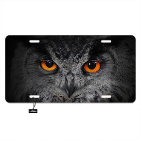 Owl Glowing Eyes Car Front License Plates Evil Animal American Bird Eagle Black Head at Night Aluminum Metal Car Tag Vanity Plates 6 X 12 Inch for Men Woman Girls Boys