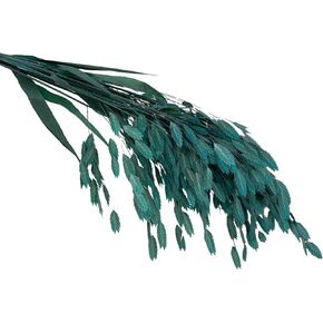 Dried Oat Grass Plant Stems, 20 PCS, 17 inches, for Vase Decor, Home, Office, Wedding (Brown)