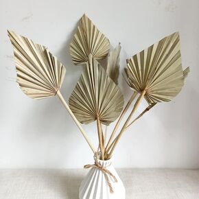 5 PCS Palm Fan Leaf Dray Flower DIY ترتيب زهرة الزهرة ديكور المنزل لمرض زفاف حفل الزفاف ديكور الجدار المنزل (أبيض)