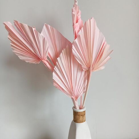 5 PCS Palm Fan Leaf Dray Flower DIY ترتيب زهرة الزهرة ديكور المنزل لمرض زفاف حفل الزفاف ديكور الجدار المنزل (أبيض) in Kuwait