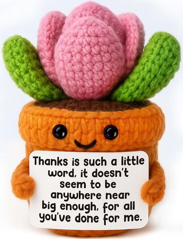 Funny Leaving Gifts for Women Men | Crochet Succulent with Humor Message | Cute Office Desk Decor, Novelty Coworker Friend Farewell Retirement Gag Gift Heartbreak,Goodbye Breakup in Saudi Arabia