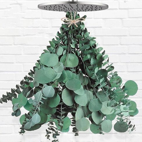 40 Pcs Mixed Real Dried Eucalyptus Stems, 100% Natural Preserved Eucalyptus Leaves with Lavender, Greenery for Hanging Shower, Decor in Kuwait