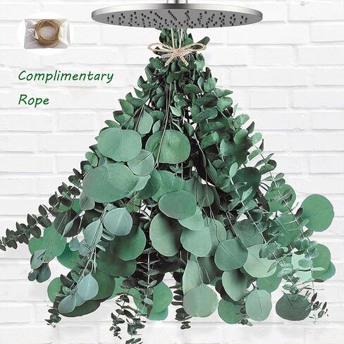 40 Pcs Mixed Real Dried Eucalyptus Stems, 100% Natural Preserved Eucalyptus Leaves with Lavender, Greenery for Hanging Shower, Decor in Kuwait