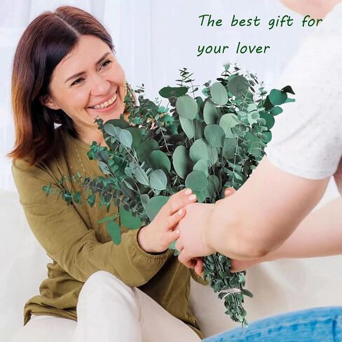 40 Pcs Mixed Real Dried Eucalyptus Stems, 100% Natural Preserved Eucalyptus Leaves with Lavender, Greenery for Hanging Shower, Decor in Kuwait