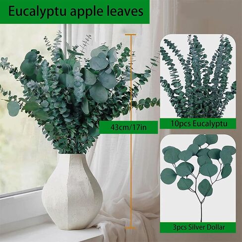 40 Pcs Mixed Real Dried Eucalyptus Stems, 100% Natural Preserved Eucalyptus Leaves with Lavender, Greenery for Hanging Shower, Decor in Kuwait