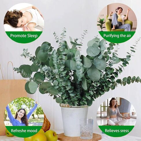 40 Pcs Mixed Real Dried Eucalyptus Stems, 100% Natural Preserved Eucalyptus Leaves with Lavender, Greenery for Hanging Shower, Decor in Kuwait