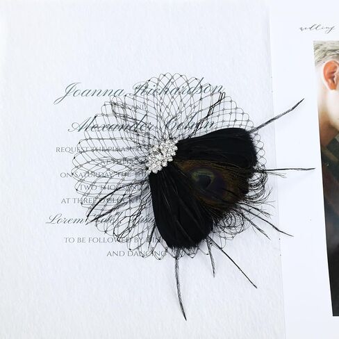 inSowni 1920s Flapper Accessories White Feather Veil Fascinator with Hair Clip Tea Party Bridal Wedding Headpieces for Women Girls in Saudi Arabia