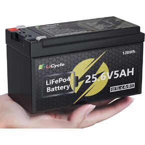 24/25.6V 5Ah LiFePO4 Lithium Battery 4000+ Deep Cycles Rechargeable Battery for UPS, Solar Panel, Power Wheels, Kayak Fish Finder, Scooter, RV, Marine - Safe & Lightweight Design