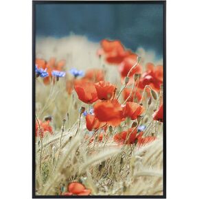 Golden State Art, 12x18 Aluminum Poster Frame Black, Metal Picture Frames 12 x 18 for Horizontal or Vertical Wall Mount, Acrylic Front Gallery Artwork Thin Frame, 1 Pack