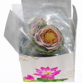 Tea Lotus Flower Tea Herbal Dried Whole Blossom - 5 per Box in Saudi Arabia