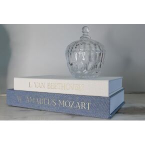 Decorative Books for Home Decor. Set of 2 Linen Covered Decorative Boxes. No Pages Inside. For Coffee Table, Bookshelf or Mantle Decoration. Fake/Faux Books for Modern Home. Blue and White Decor