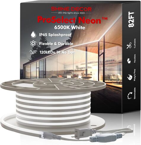 Shine Decor LED Neon Rope Lights AC 120V, ETL-Listed Flexible 120LEDs/M Dotless Strip Lighting, Custom Cuttable & IP65 Waterproof for Indoor Outdoor, 6500K Cool White, 150FT in Kuwait