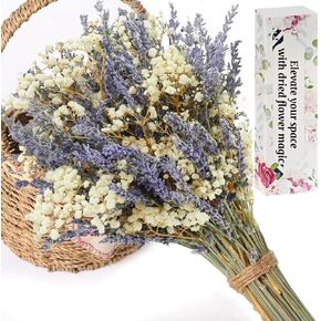 Dried Lavender and Baby's Breath Flowers Bouquet, 2 Dried Bouquets, Natural Dried Flowers, Suitable for vase Filling, Decoration Gifts, Home, Wedding, Photography, Flower Arrangement, DIY