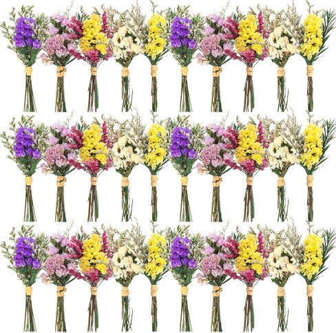 Nuanchu 30 PCS Mini المجفف زهرة الزهور تنسى لي ليس باقات مجففة الزهور المنقوش مع الجذعية لله الخاصصة ، زفاف ، ديكور حفلات سجل القصاصات DIY (كلاسيكي) in Kuwait