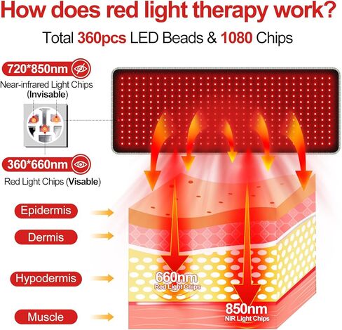 حزام العلاج بالضوء الأحمر بالأشعة تحت الحمراء للجسم - وسادة تسخين 660 نانومتر/850 نانومتر ، حصيرة دعم العضلات في الركبة المحمولة مع النبض التلقائي و 10 هرتز/40 هرتز ، جهاز علاج ضوء LED لمكتب منزل in Kuwait