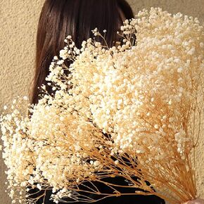 4000+ Dried Babys Breath Flowers Bulk - 17" Ivory White Natural Dried Flower Bouquet Vase Filler, Real Gypsophila Branches for Wedding, Crafts, Resin, Candle Making, Table Centerpiece, Home Decor