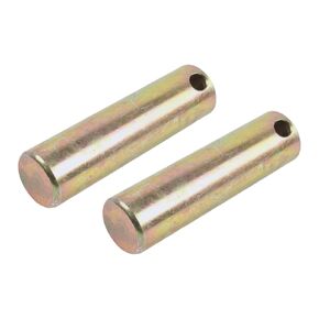 2Pcs Pivot Pin QR6882604 6577954 Compatible with Bobcat Skid Steer Loader T190 T250 T300 T320 T450 T550 T590 T595 T630 T650 T740 T750 T770