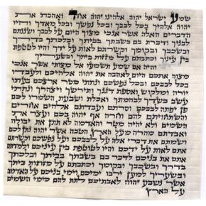 Judaica VERSAINSECT er 7cm Mezuzah Scroll 2.8 Inch klaf Mezuza Parchment